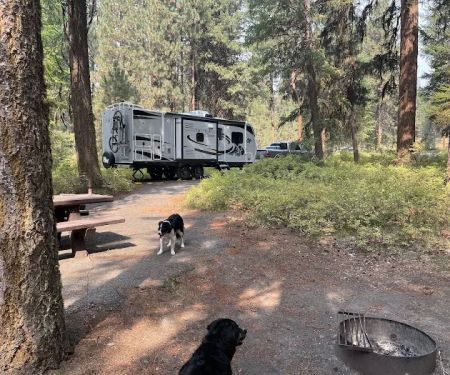 Yellow Pine Campground