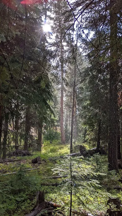 Wetmore Campground Picture 3