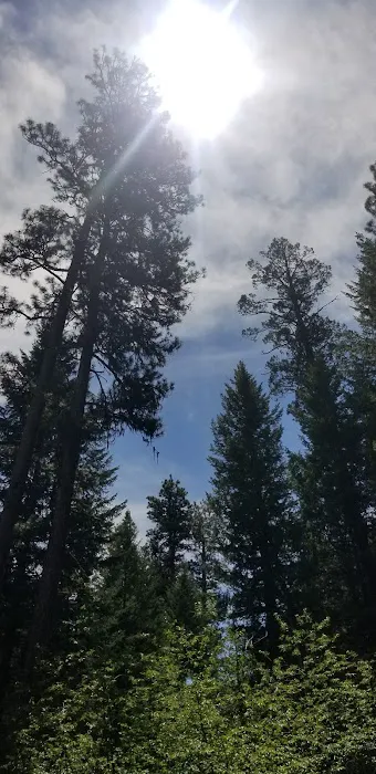 Wetmore Campground Picture 4