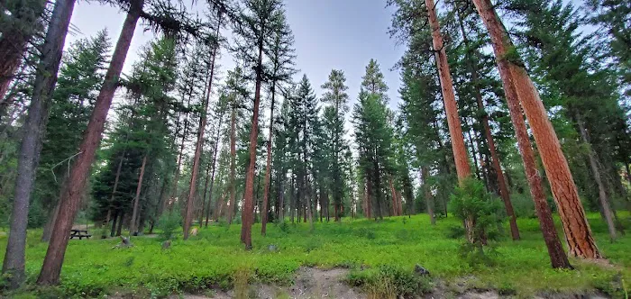 Wetmore Campground Picture 9