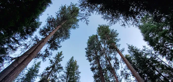 Wetmore Campground Picture 7