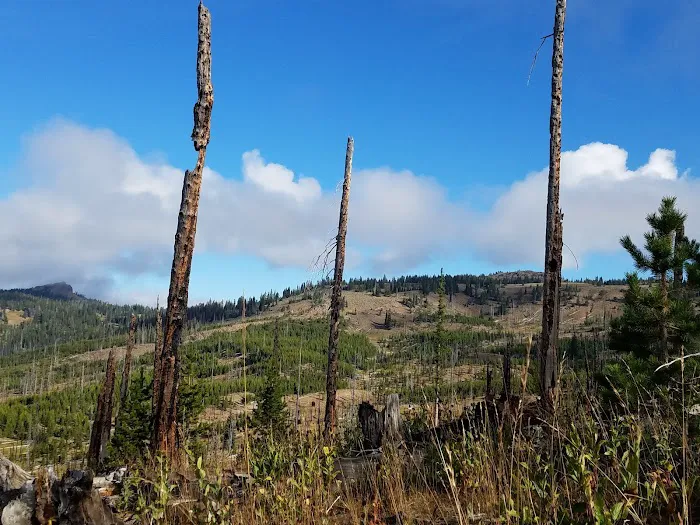 Head O'Boulder Campground Picture 4