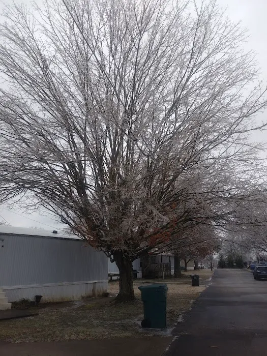 Trail A Way Mobile Home & RV Park Picture 6