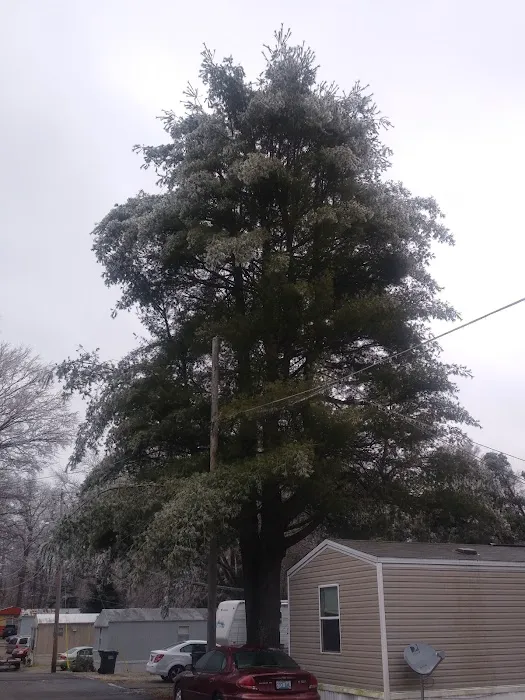 Trail A Way Mobile Home & RV Park Picture 5