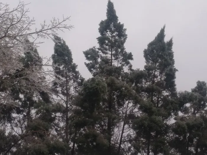 Trail A Way Mobile Home & RV Park Picture 9