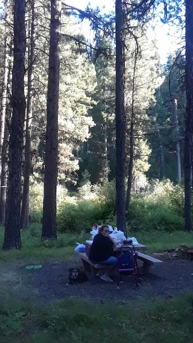 Middle Fork Campground Picture 2