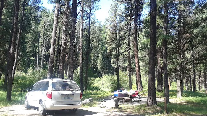 Middle Fork Campground Picture 3