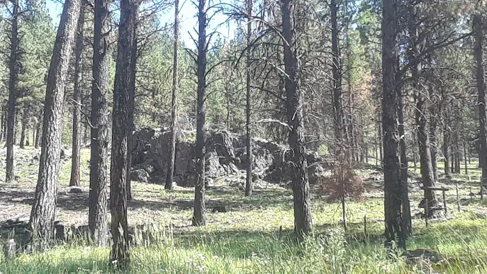 Middle Fork Campground Picture 5