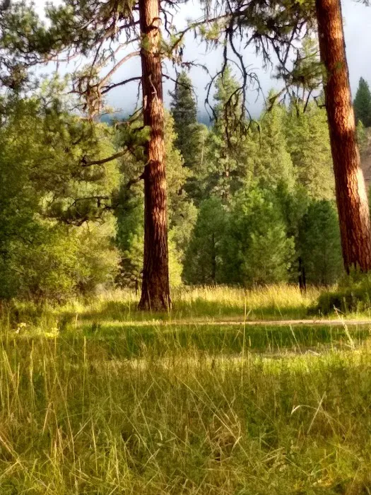 Deerhorn Campground Picture 2