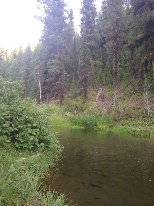 Deerhorn Campground Picture 1