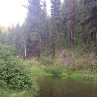 Deerhorn Campground ico