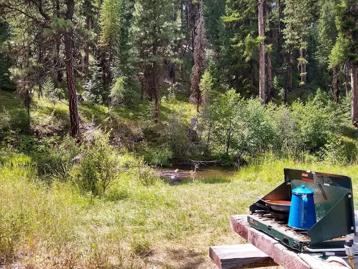 Deerhorn Campground Picture 3