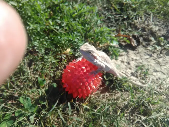 Woodlawn Mobile Home Park Picture 1