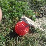 Woodlawn Mobile Home Park