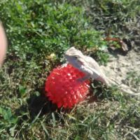 Woodlawn Mobile Home Park ico