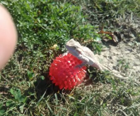 Woodlawn Mobile Home Park