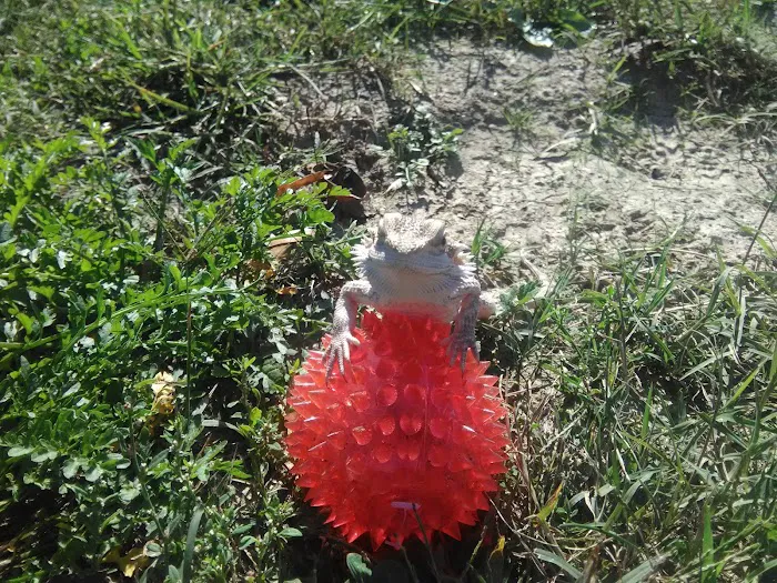 Woodlawn Mobile Home Park Picture 4