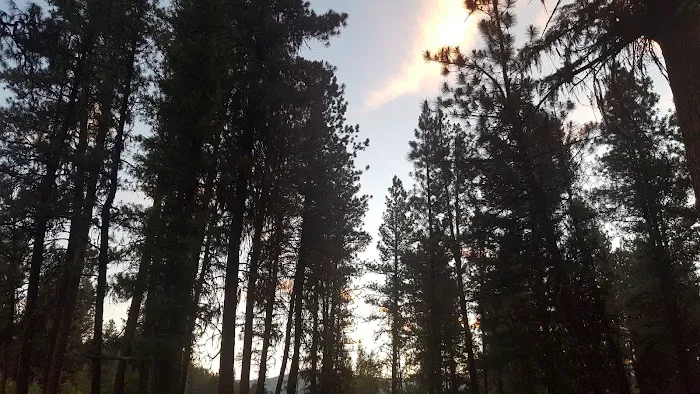 Lower Camp Creek Campground Picture 5