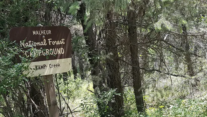 Lower Camp Creek Campground Picture 2