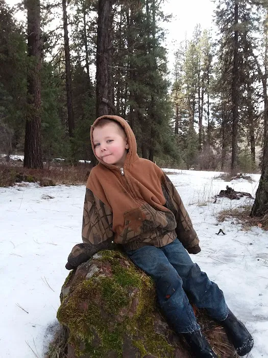 Lower Camp Creek Campground Picture 1