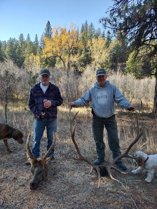 Lower Camp Creek Campground Picture 8