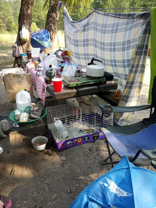 Gold Dredge Campground Picture 4