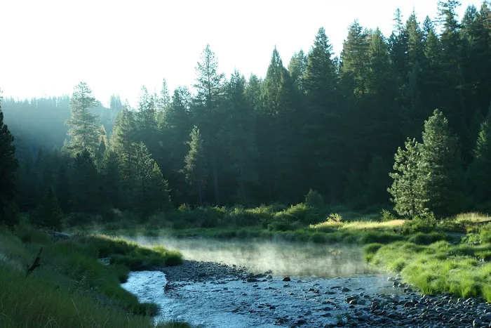 Gold Dredge Campground Picture 1