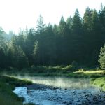 Gold Dredge Campground