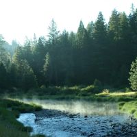 Gold Dredge Campground ico