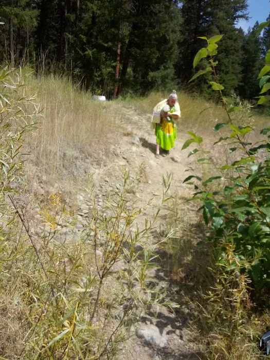 Gold Dredge Campground Picture 7