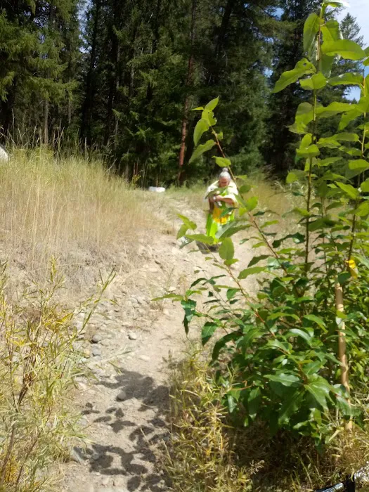 Gold Dredge Campground Picture 8