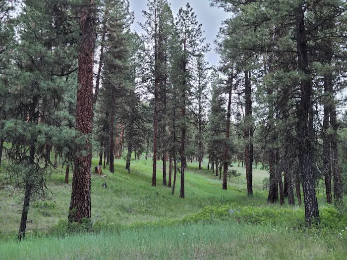 Driftwood Campground Picture 9