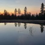 Drift Fence Campground