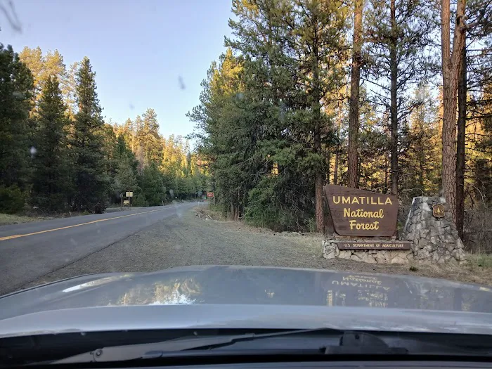 Bear Wallow Creek Campground Picture 2
