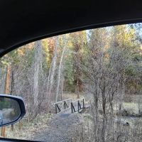 Bear Wallow Creek Campground ico