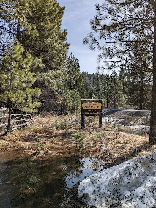 Lane Creek Campground Picture 1