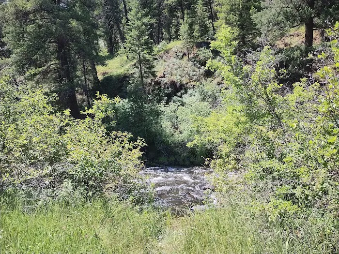 Tollbridge Campground Picture 7