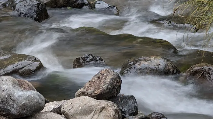 Tollbridge Campground Picture 4