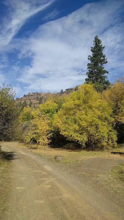 Tollbridge Campground Picture 8