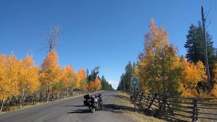 Tollbridge Campground Picture 9