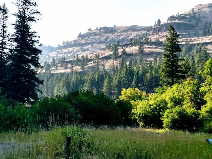 Tollbridge Campground Picture 10