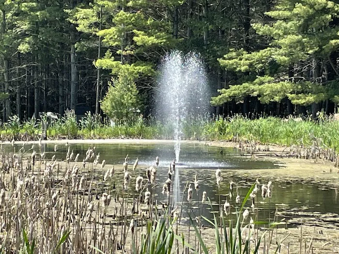 Northern Bear Paw RV Park LLC Picture 8