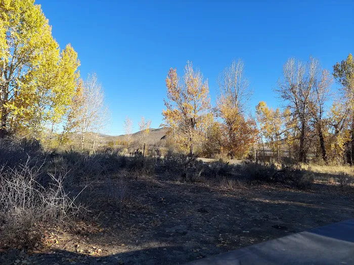 Stanton Crossing Campground Picture 4