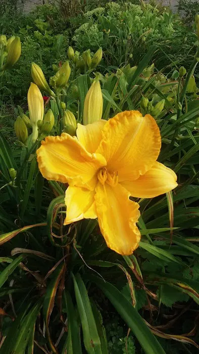 Arrow Mobile Home Park Inc Picture 1