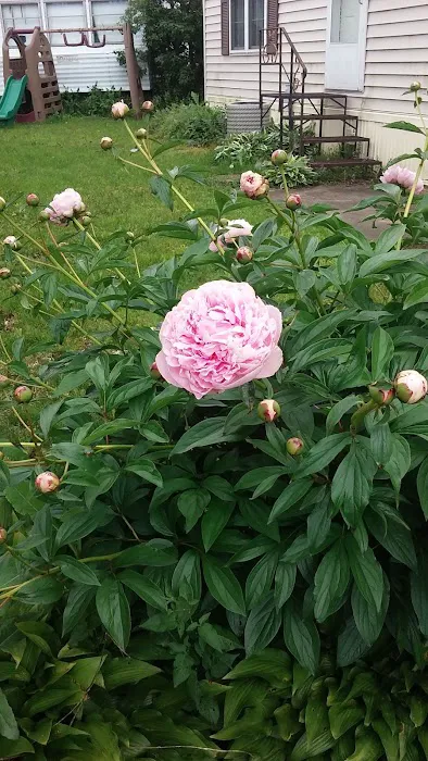 Arrow Mobile Home Park Inc Picture 4