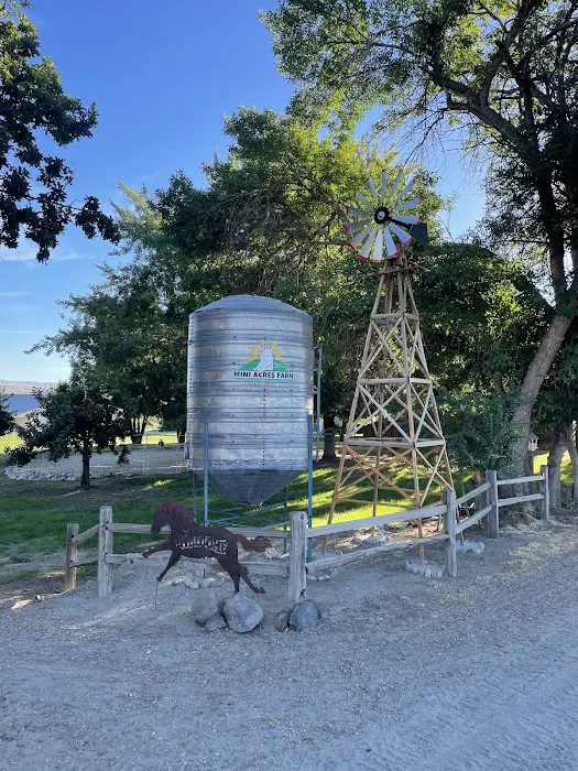 Mini Acres Farm Picture 5