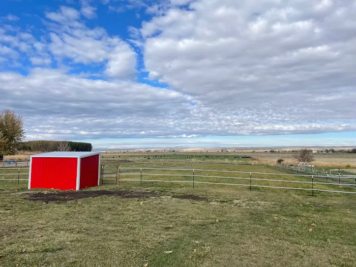 Mini Acres Farm Picture 1