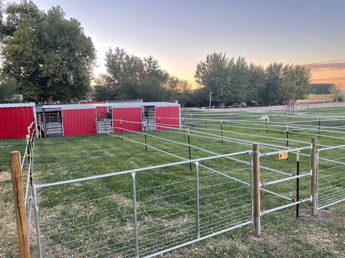 Mini Acres Farm Picture 8