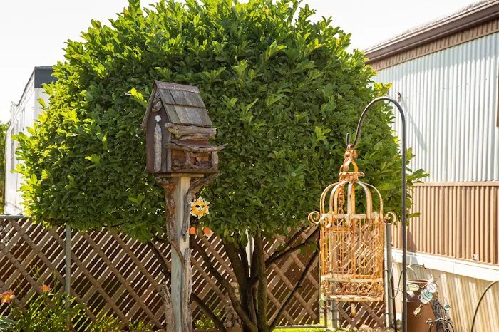 Airway Community Picture 9