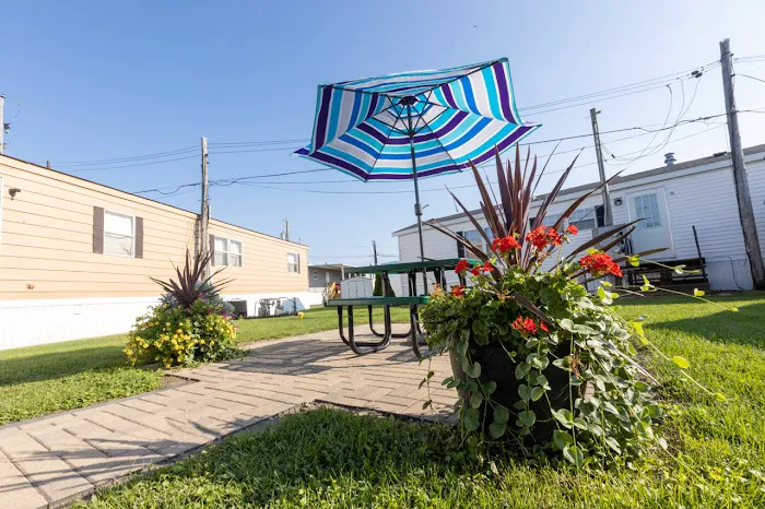 Airway Community Picture 3